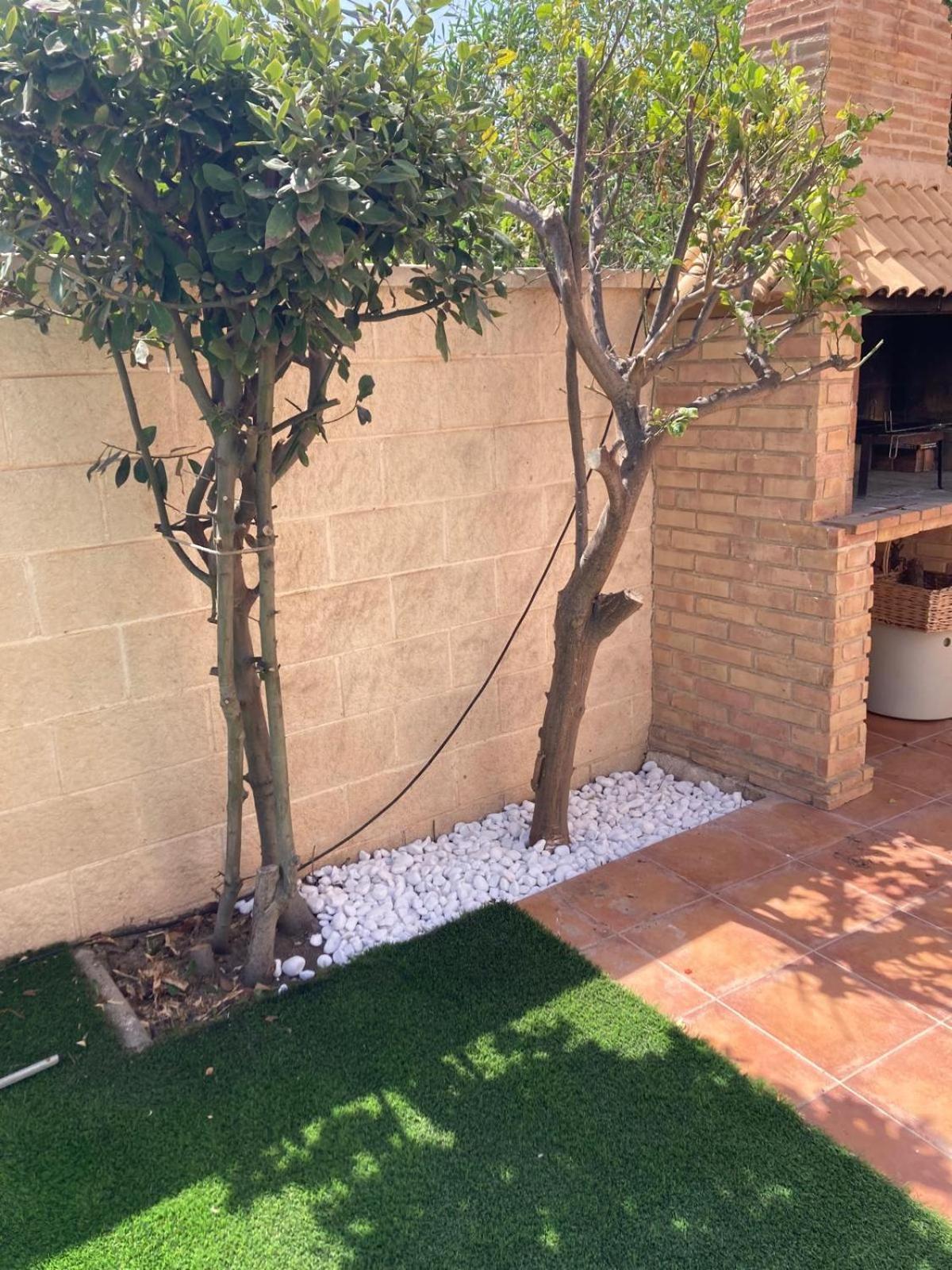 Luxury Villa 20Mts Far From The Sea Orihuela Exterior foto
